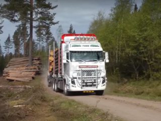Транспортировка леса